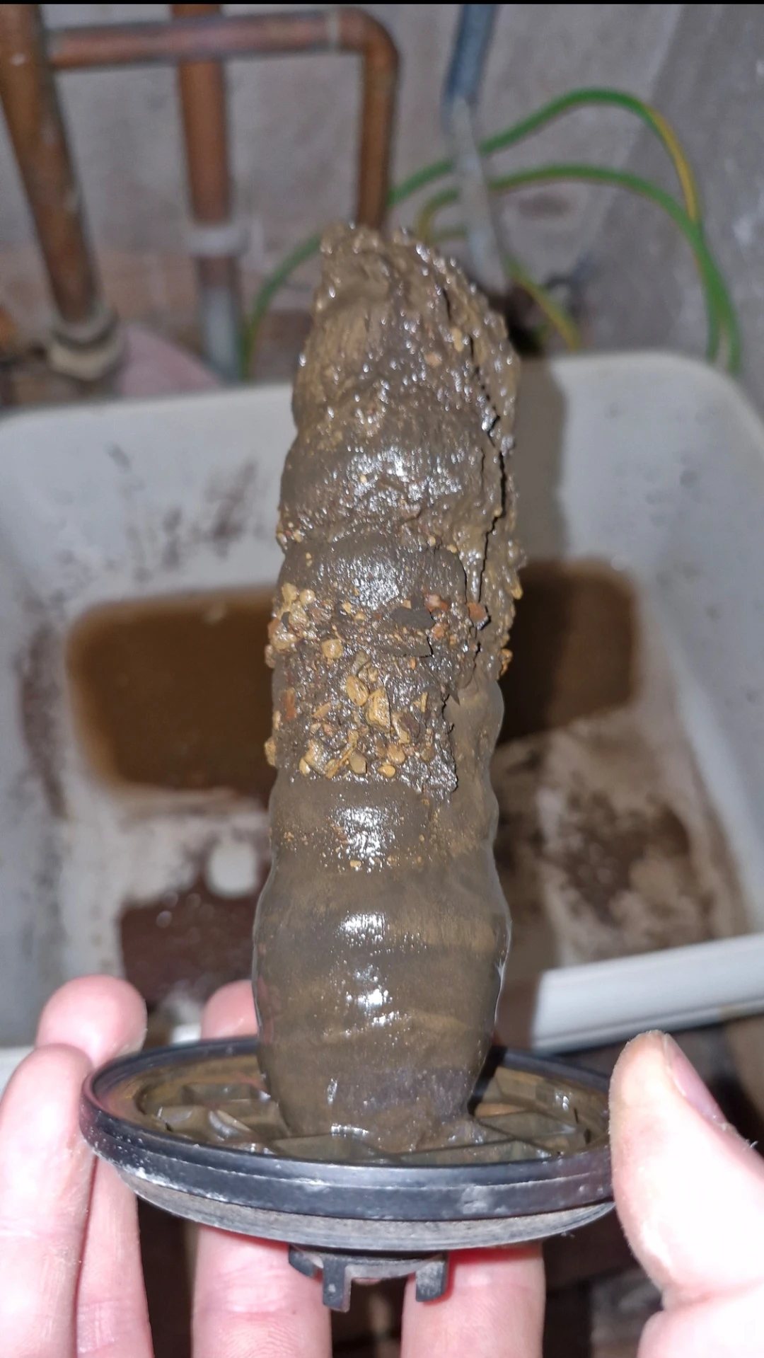 Sink plug replaced.